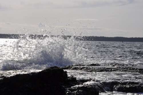 Water Splash Coastal
