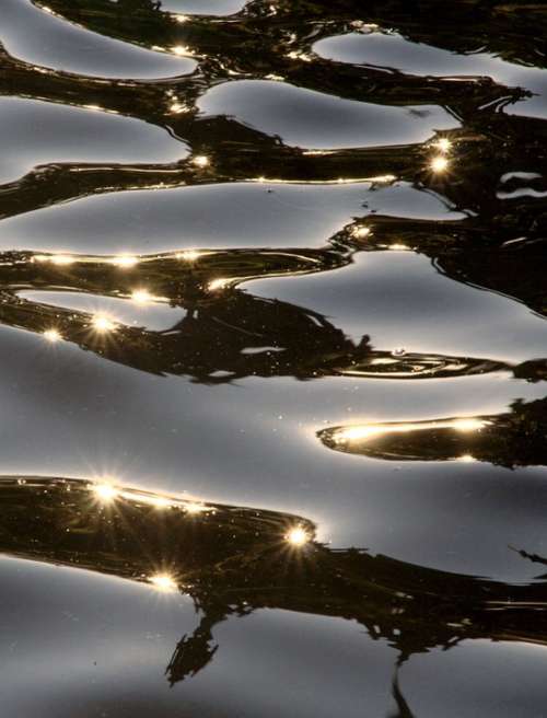 Water Mirroring Lichtspiel Reflections Wave