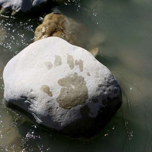 Water Rock Footprint Hand