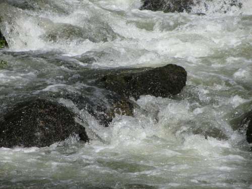 Water Bach Stones Murmur Flowing