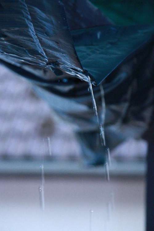 Water Drops Rain Drop Nature