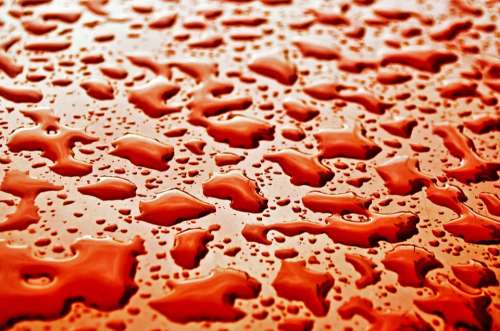 Water Drops Wet Macro Background Wallpaper Red