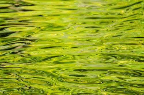 Water Background Pattern Green Close-Up Element