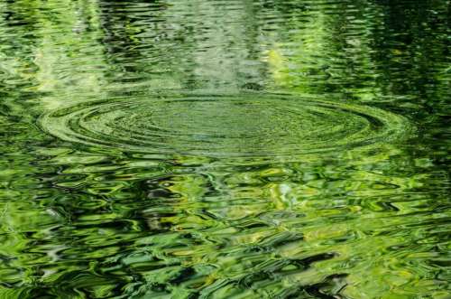 Water Background Pattern Green Close-Up Element