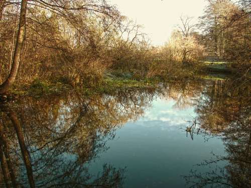 Water River Lake Mirroring