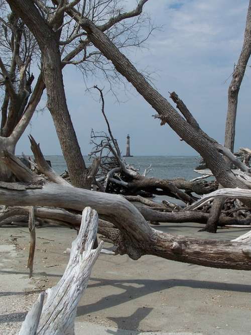 Water Ocean Beach Folly Beach Driftwood Lighthouse