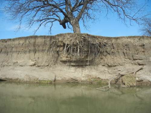 Water River Erosion Tree Roots Tree Roots Root