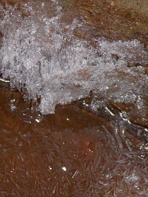 Water Frost Winter Ice Fragile Beauty