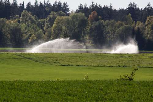 Water Fields Blow Up Irrigation Artificial