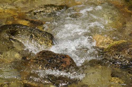 Water Current River Stone