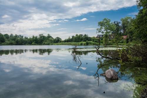 Water Lake Clouds Mirroring Forest Bank Summer