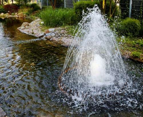 Water Pond China Garden Biotope Water Feature