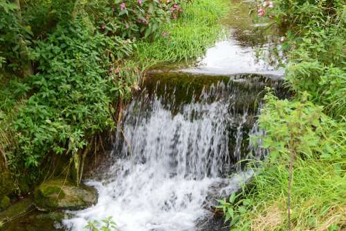 Water Bach Waters Watercourse Waterfall Romantic