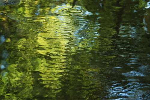 Water Reflection Green Blue Abstract Beauty