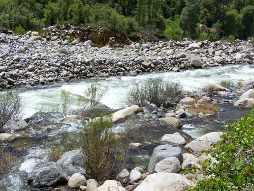 Water River Stream Landscape Natural Creek Beauty