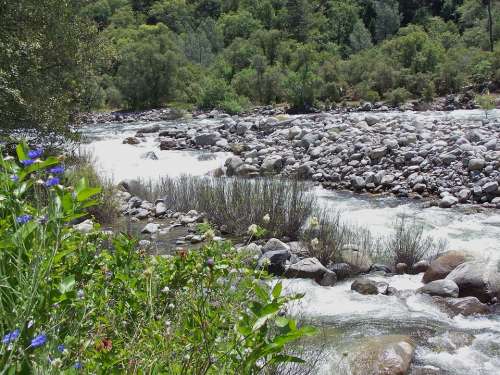 Water River Stream Landscape Natural Creek Beauty