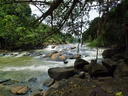 Water Stream Nature River Flow Outdoors Motion