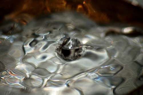 Water Drop Waterdrop Macro Liquid Bubble Clear