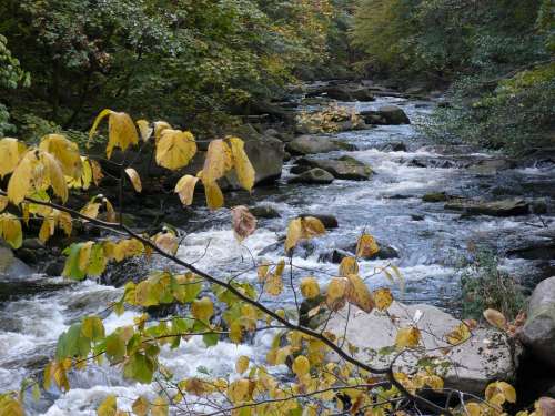Water Fall Color Mountain Stream Boulders Bach
