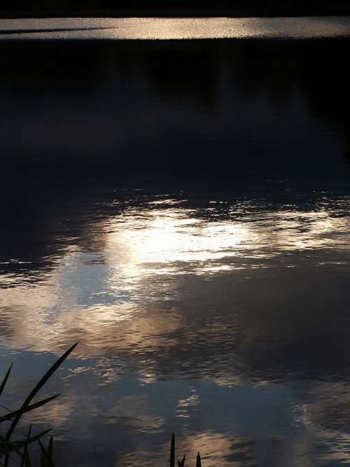 Water Pond Evening Ledenice Ponds Spas Reflection