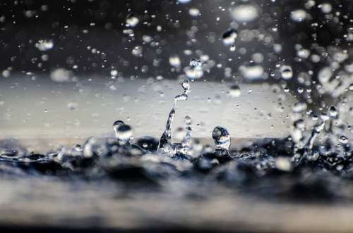 Water Drop Drop Macro Wet Nature Element Rain