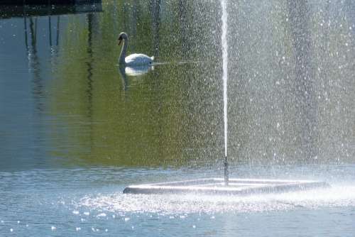 Water Games Fountain Swan Inject Water