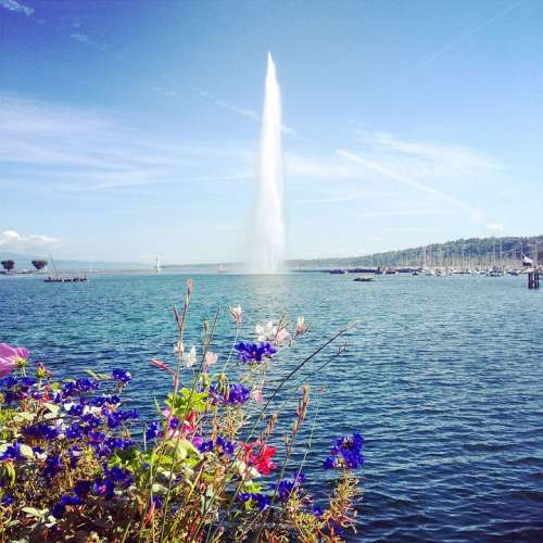 Water Jet Geneva Switzerland Lake Geneva Water