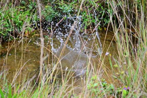 Water Splash Clear Water Spring Stream