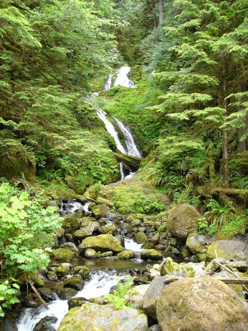 Waterfall Lake Quinault Nature Landscape Natural