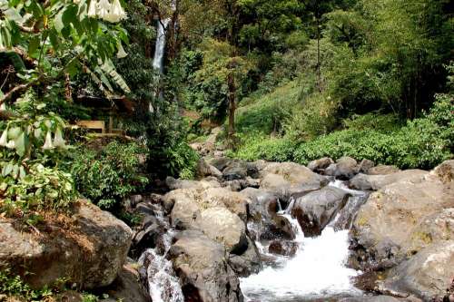 Waterfall Bali Nature Bright Landscape