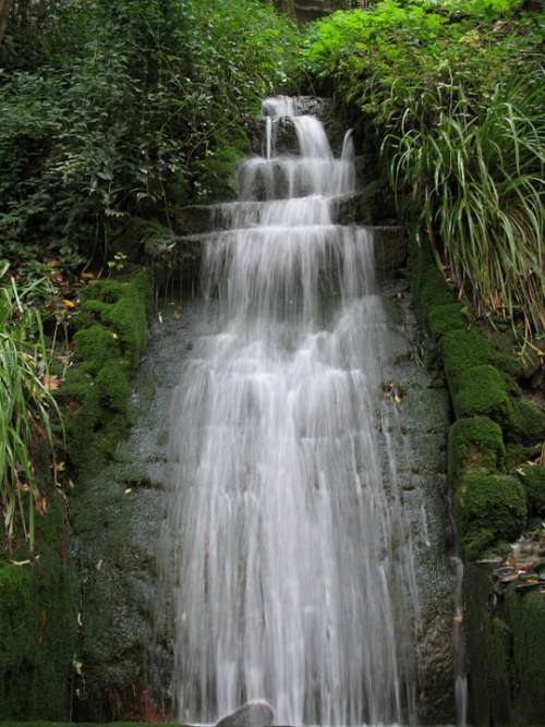 Waterfall Water River Green Vegetation Plants