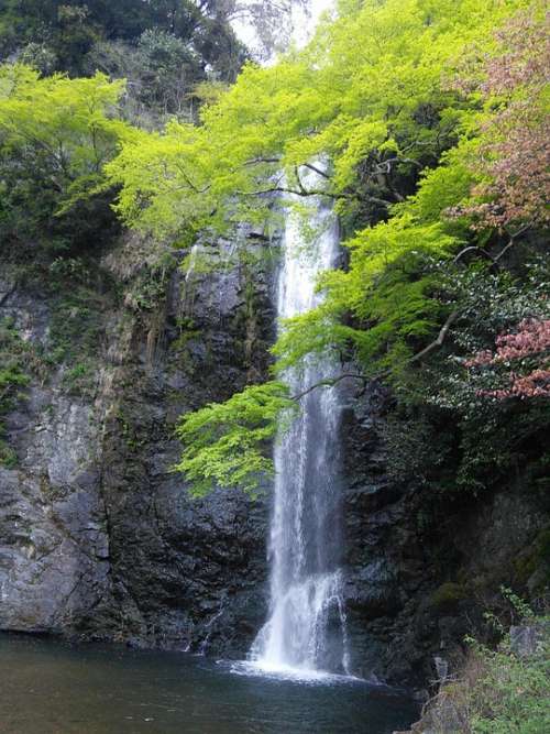 Waterfall Minoo Minoh Waterfall Fresh Green Maple