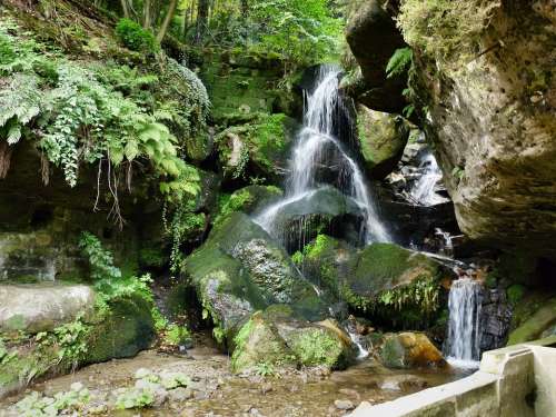 Waterfall Light Hain Saxon Switzerland Drizzle