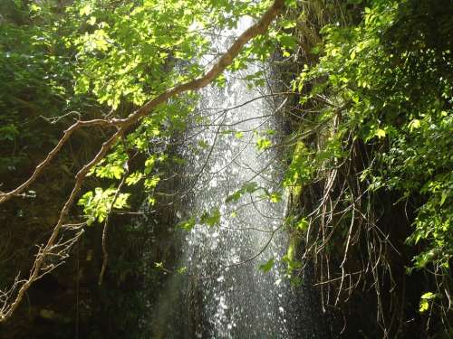 Waterfall Wild Green Nature Exotic Kythira Greece