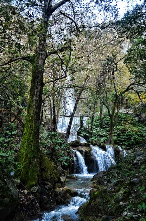 Waterfall Cola De Caballo Water River Park
