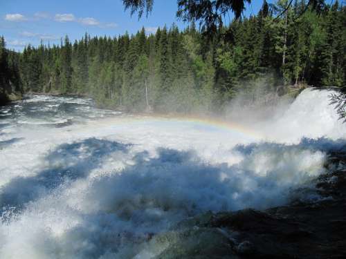 Waterfall Rainbow Nature Pine Trees Canada Green