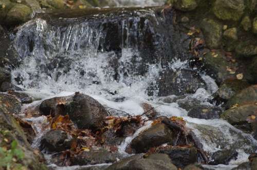 Waterfall Water Nature Landscape Waters Murmur