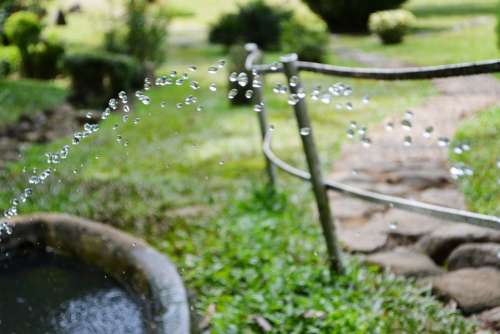 Watering Water Drops Drops Dripping Nature Garden