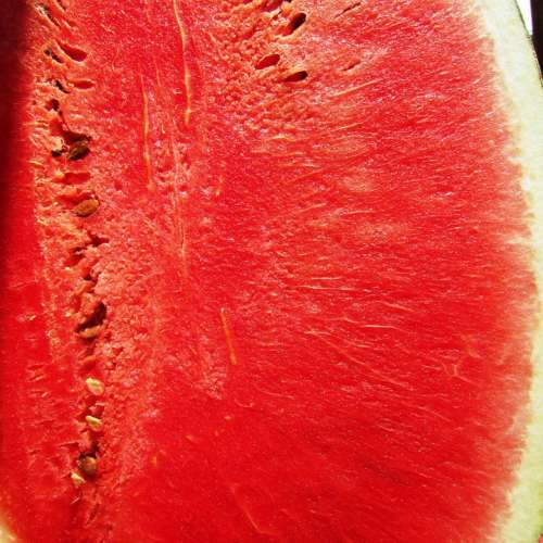 Watermelon Melon Citrullus Lanatus Red Fruit