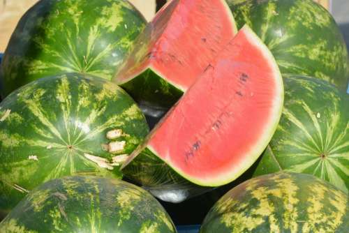 Watermelon Melon Fruit Red Melon