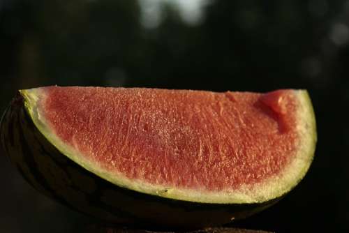Watermelon Melon Fruit Food Delicious Eat Red