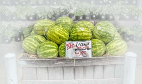 Watermelons Fruit Stand Fruit Vendors For Sale