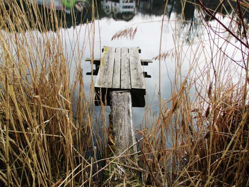 Waters Pond Hauptwil Web Boardwalk Reed Mirroring