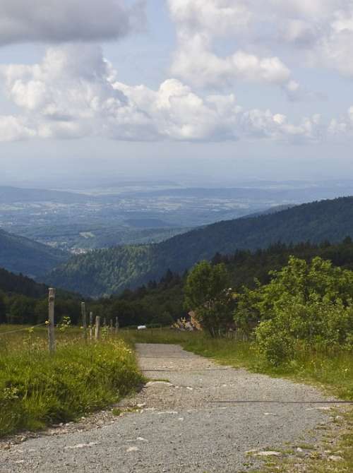Way Vosges Trail Height Wide