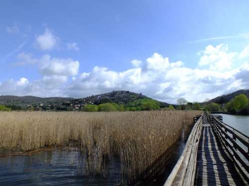 Web Nature Water Lake Landscape