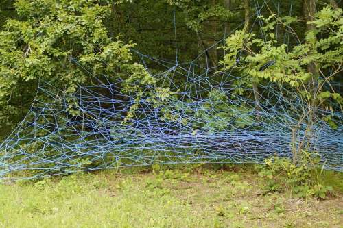 Web Blue Branches Lavizzara Entangled Tangle