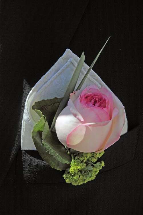 Wedding Groom Handkerchief Rose