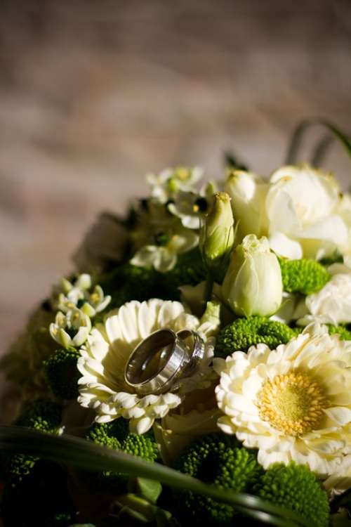 Wedding Bouquet Flowers Florist Flora White Green