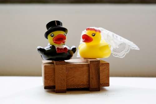 Wedding Veil Cylinder Luck Eternity Pair Of Ducks
