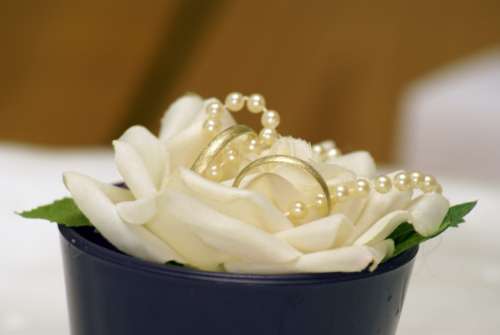 Wedding Rings Close Up Marriage Rose Bloom Beads